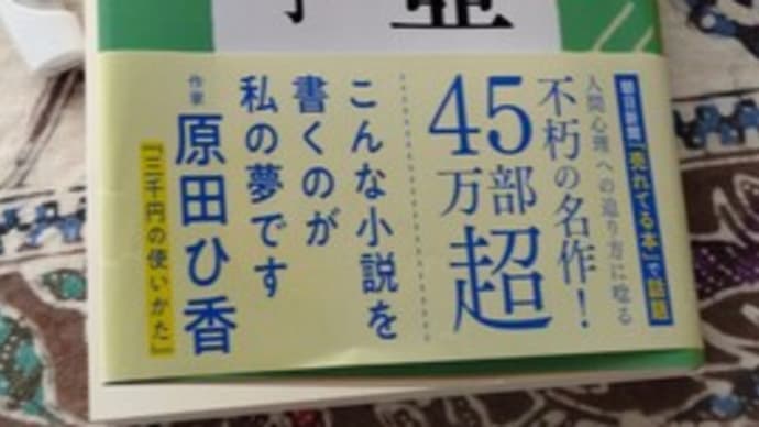 有吉佐和子「青い壺」50年前の70代って&魔窟の整理&ひき肉味噌
