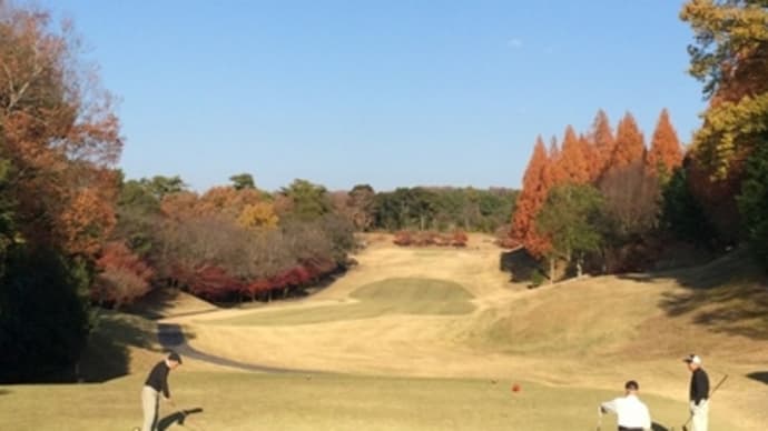 小春日和で厳寒