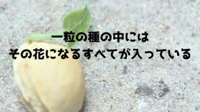 【講座の感想】一粒の種の中にはその花になるすべてが入っている