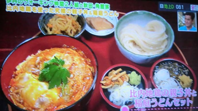いきなり日帰りツアーで紹介「比内地鶏の親子丼・きりたんぽ鍋」