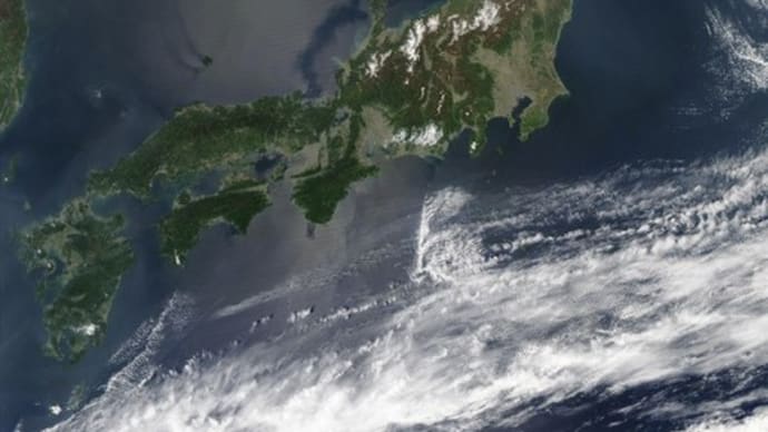 阿波おどりファン必見!2019年最初の総踊り!本場徳島阿波おどり_紺屋町演舞場_20190812 Awaodori in Tokushima Japan