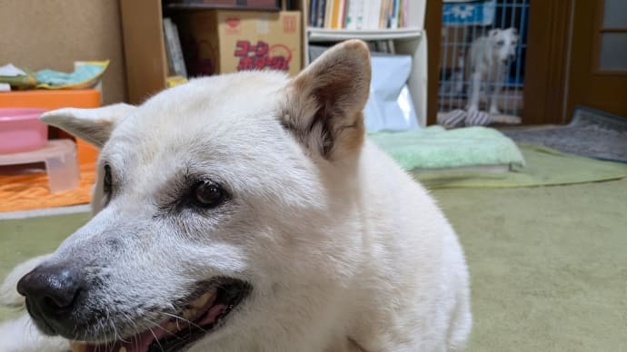 若い頃から