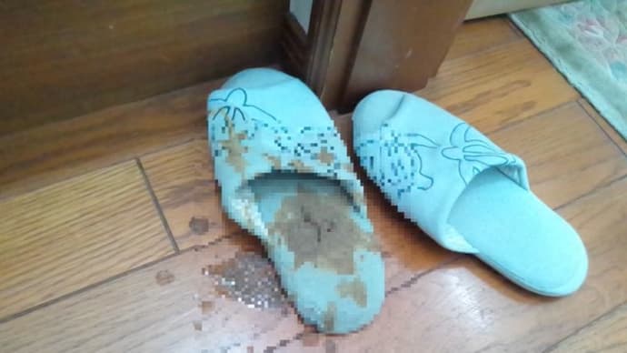 留守番猫の悪意を感じるとき・・閲覧注意