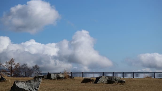 次男との旅（半月峠）