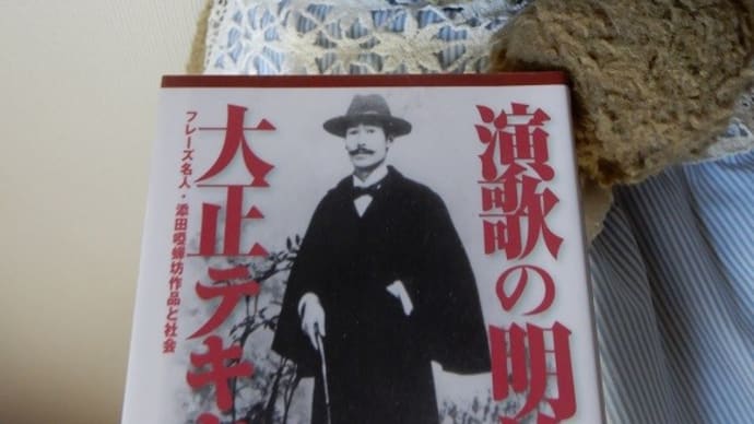 蝉の鳴く小説・16(添田唖蟬坊『金々節』感想)