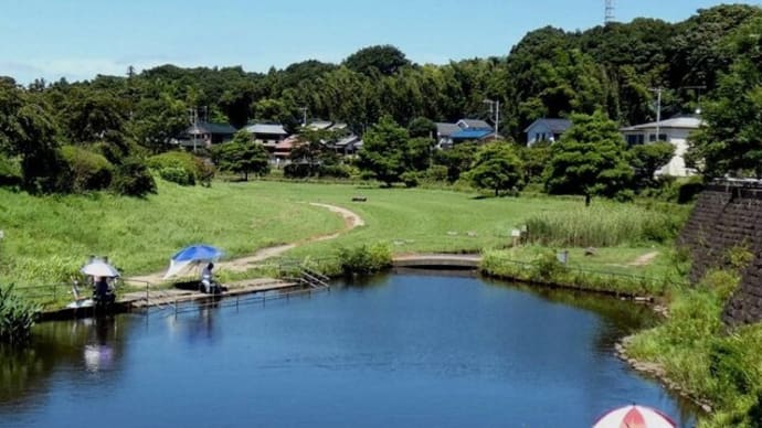 ・ 宮沢遊水地　夏の風景　　（2022/07/30）