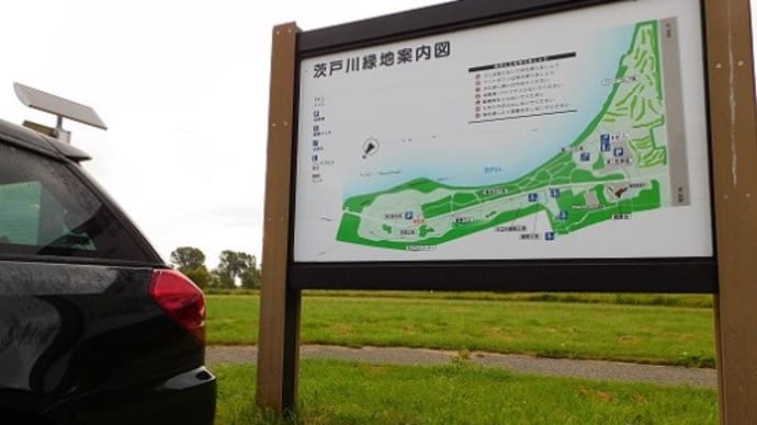 茨戸川緑地&あいの里公園でバードウォッチング '22.08.27