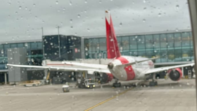海外旅行>治療中の旅行は?✈️