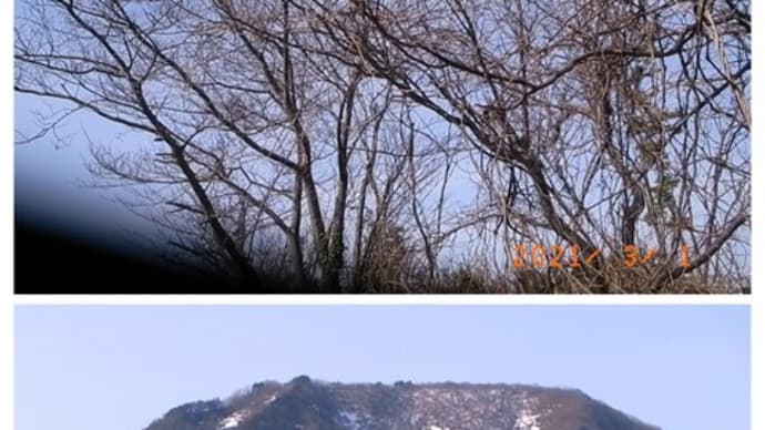 蒲原平野と自然 2021年3月