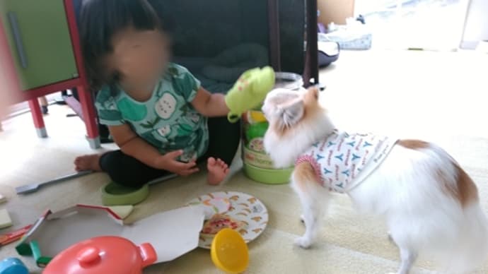 孫とぼのモカ