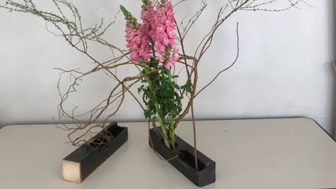 190321 桜楽会 いけばな 草月流 112 雲竜柳・キンギョソウ・コデマリ、複数花器・四方見