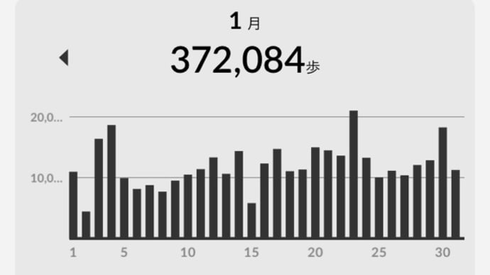 一月の歩数