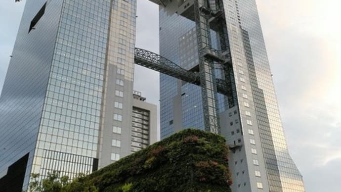 2022-07-14 Photo