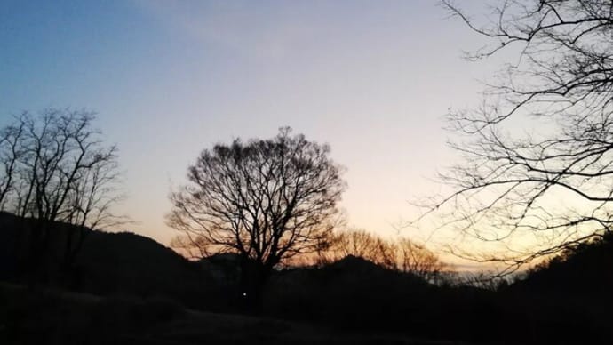 今日の景色