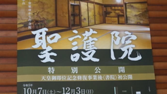 京都秋の特別公開「聖護院門跡」へ。100余点に及ぶ狩野派の障壁画など見どころいっぱい