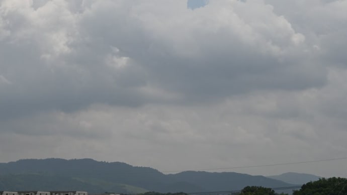 奈良国立博物館は南山城一色