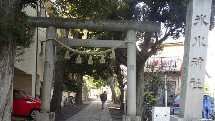 旧中野村の総鎮主守社!地名を冠して中野氷川神社!に立ち寄りましょう!!