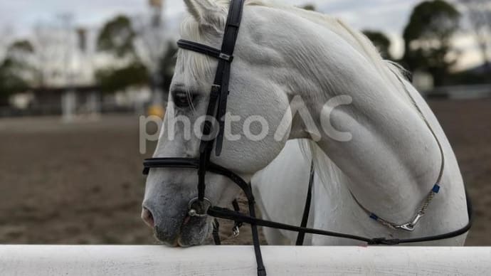 競馬で稼ぐのは無理です