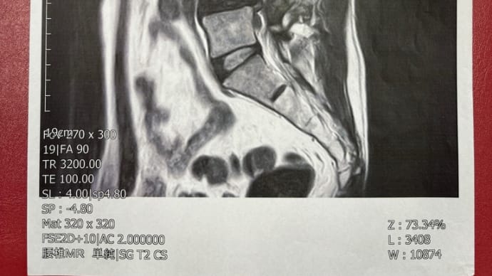 怪我とはうまく付き合っていきましょう。