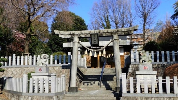 下九沢の鎮守「八坂神社」の河津桜！！