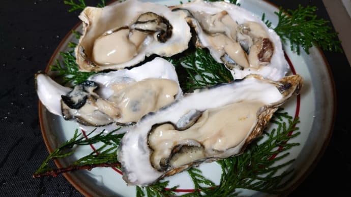 生牡蠣が好き!