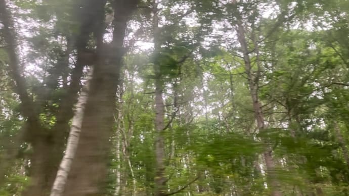 あやにあやにと旅は続く