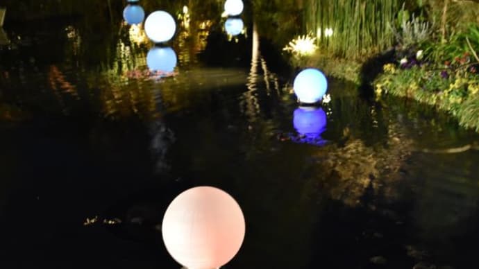 西武デパート屋上モネの池　球形の照明玉が浮かぶ　　　　　2