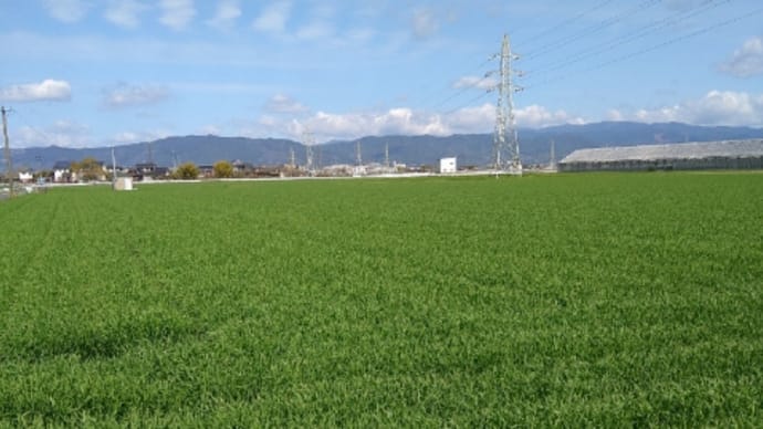 町内歴史ウォーキング