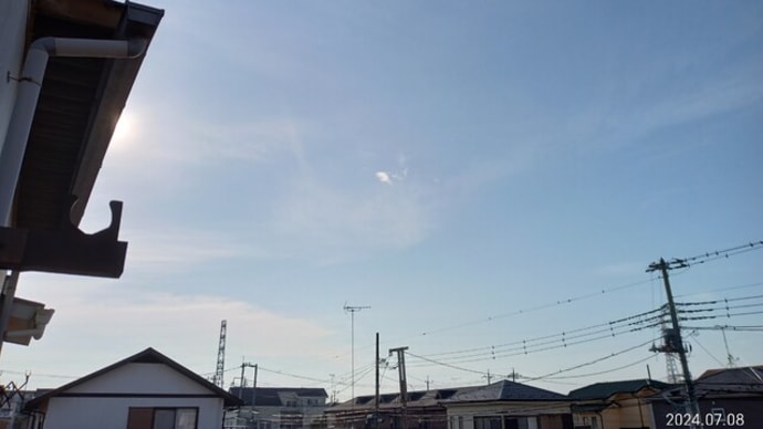 汗が止まらない。