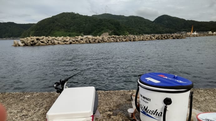 久々に加茂漁港の第三離岸堤を釣る、取られるが完全ボウズ