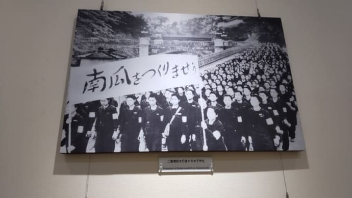 横網町復興記念館と大相撲