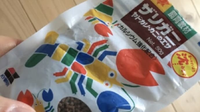 かたつむりの一発芸