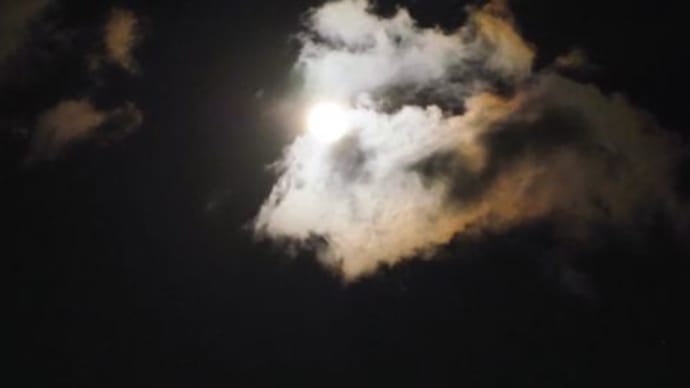 月夜4