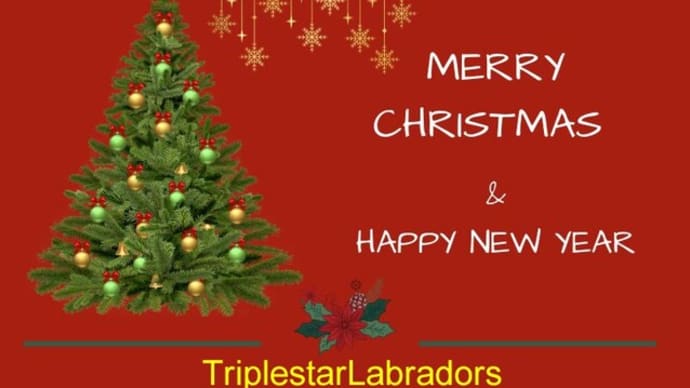 ☆☆☆ Happy Christmas!!!-archive