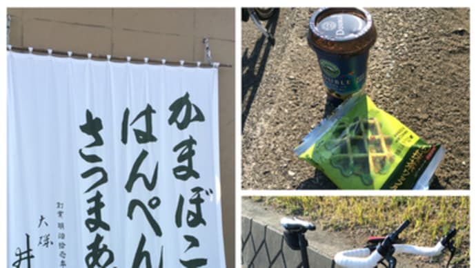 春を感じますね
