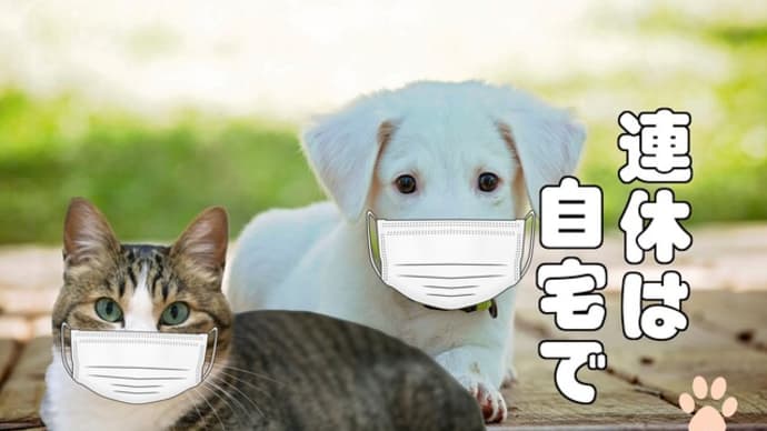 Photoshop Elementsの操作法を習得 連休の過ごし方