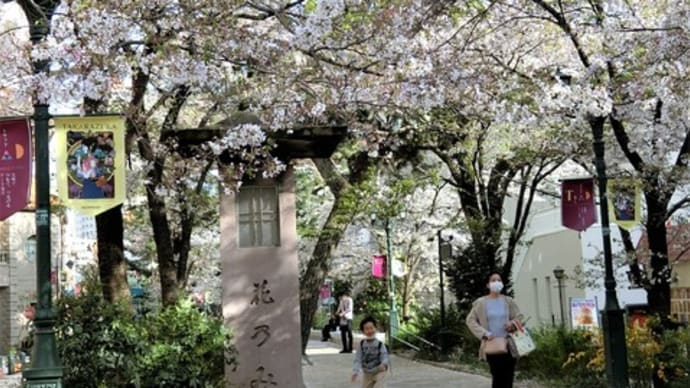 2021.4.1「宝塚・花のみちの桜」です