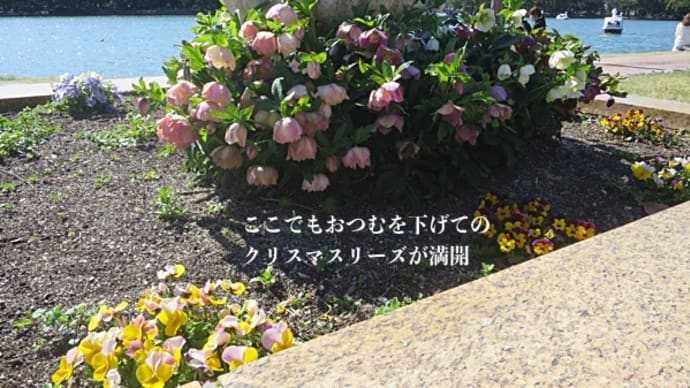 3/14 晴天にて…花粉をよそ目に3