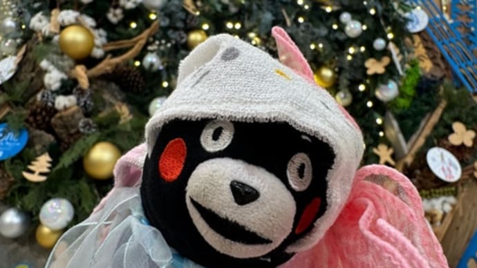 今日いち-2024年11月12日