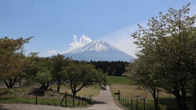 朝霧高原で花散歩♪