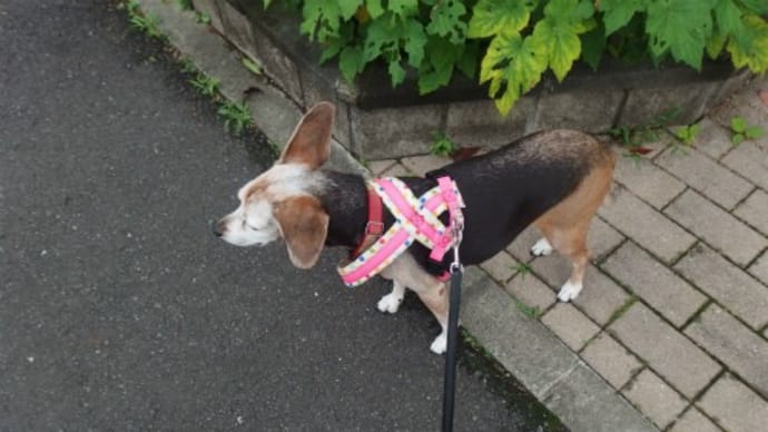 不順からくる不調