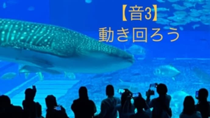 〜マヤ暦 K4 黄色い種・赤い龍・音4〜 「白い犬」のゴローさん、K3の日にK3のパクさんに会いに行く。