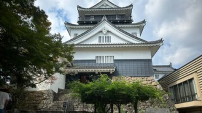 【グルメ・名古屋(名古屋市中村区)】かぶらや総本家 ~手羽先唐揚げ・味噌おでん・味噌串カツ~