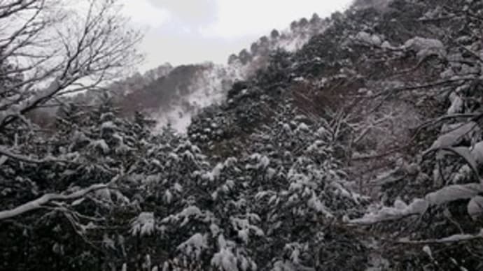 雪山登山教室　鈴鹿　鎌尾根～鎌ヶ岳　～急峻な岩場、雪壁、雪稜での登下降技術を学ぶ～