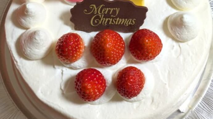 我が家のクリスマスはケーキを食べる口実