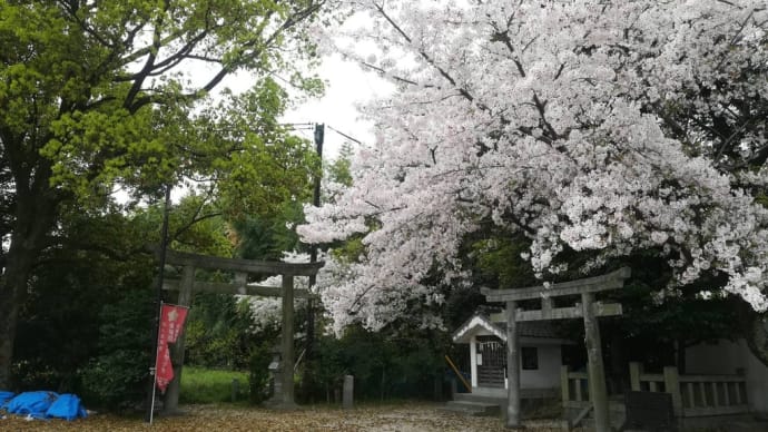 ご近所の神社仏閣へ