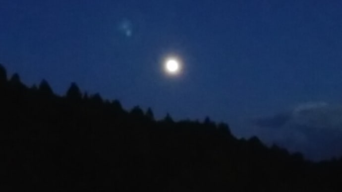 皆吉爽雨／りりとのみりりとのみ虫十三夜