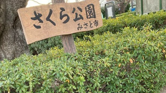 犬と猫の暮らしはお手直し三昧❓・・・Unicefから領収書到着~