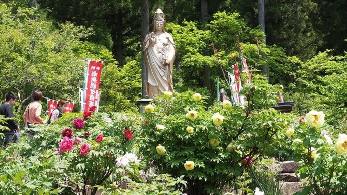 ぼたん寺