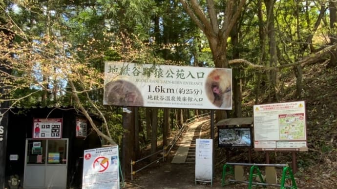 孫と地獄谷野猿公苑訪問